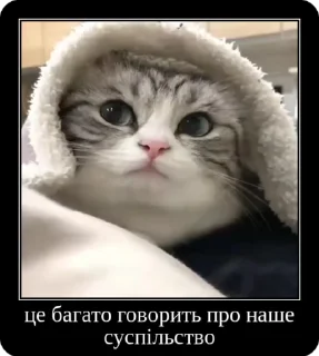 Sticker from Колапс модерну @solovyy