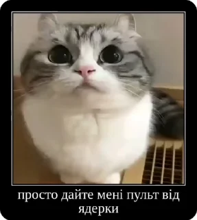 🙏 emoji Сольовик і неформали @solovyy Telegram sticker 20 of 50