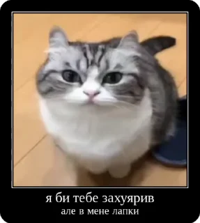 🤬 emoji Сольовик і неформали @solovyy Telegram sticker 23 of 50