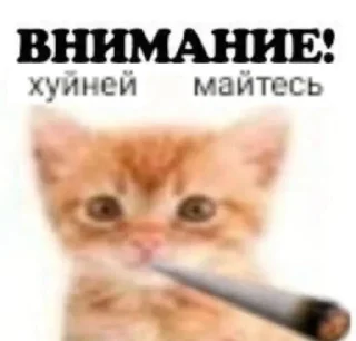 🌟 emoji прикольная фигнюшка @absyrdasfuck Telegram sticker 7 of 118