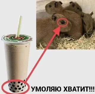 Sticker from шота