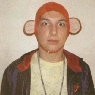 🐵 emoji arctic monkeys Telegram sticker 15 of 61