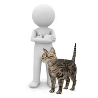 🐈‍⬛ emoji Ти шо дурак? Telegram sticker 12 of 23