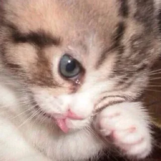 😢 emoji my little crush Telegram sticker 13 of 120