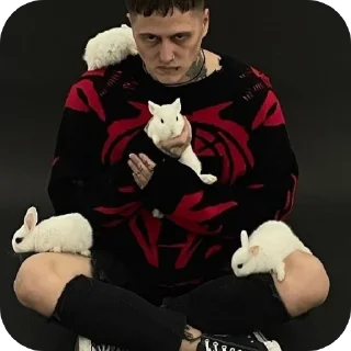 🧸 emoji Руслан цмх Telegram sticker 11 of 25