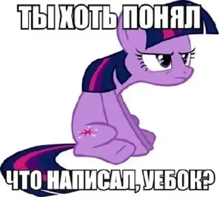 🌟 emoji Twilight Sparkle ✨ Telegram sticker 20 of 95