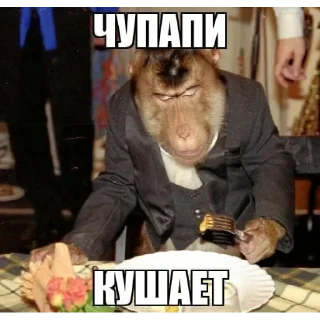 🍲 emoji Смешнявки Telegram sticker 23 of 38