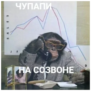 📞 emoji Смешнявки Telegram sticker 20 of 38