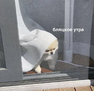 Sticker from всратые картинки