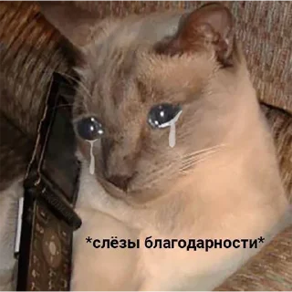 Sticker from всратые картинки