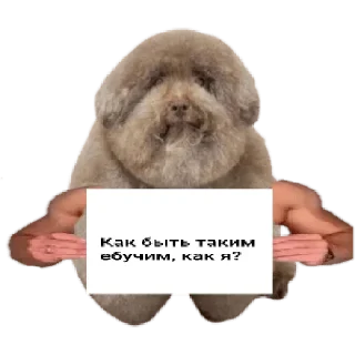 Sticker from Ебучие