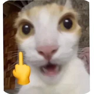 🐱 emoji Funny name😉 Telegram sticker 21 of 120