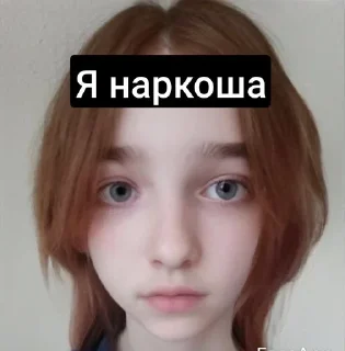 🌿 emoji ВалераГачаЛайы Telegram sticker 11 of 11