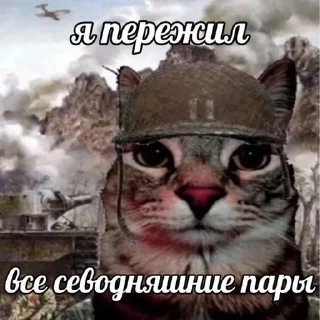 🫡 emoji Комарский пак Telegram sticker 8 of 120