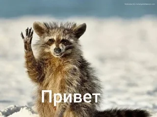 🌟 emoji Пипец#снег Telegram sticker 9 of 10