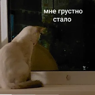 😭 emoji это стикеры пупы залупы. ясно? Telegram sticker 6 of 8