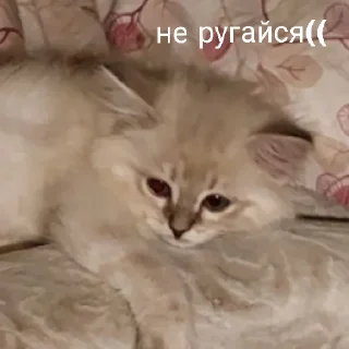 😞 emoji это стикеры пупы залупы. ясно? Telegram sticker 3 of 8