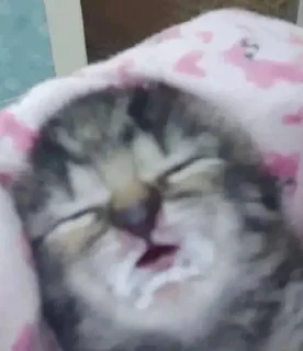 😐 emoji крутой сигма Telegram sticker 19 of 69