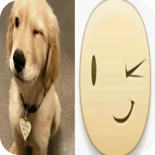 🐶 emoji эт мои стики Telegram sticker 13 of 51