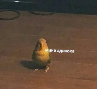 😔 emoji мЕмЫ от Черри Telegram sticker 21 of 42