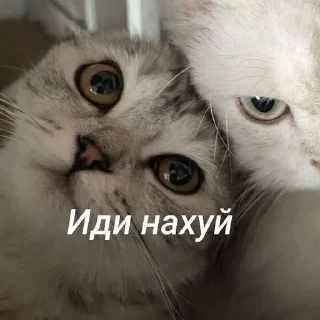 Sticker from КАРИНА ТОП