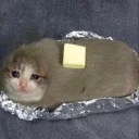 😥 emoji Pussy Telegram sticker 7 of 38