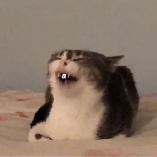 😼 emoji WhatsApp Telegram sticker 24 of 101