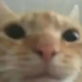 ❤ emoji котикс by дофамин🤟 Telegram sticker 15 of 85