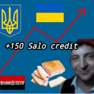 Sticker from salo credit