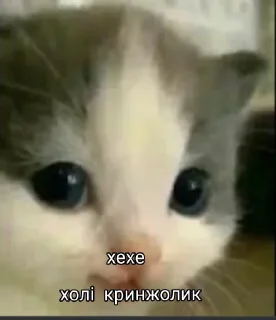 Sticker from Стікерпак кринжа