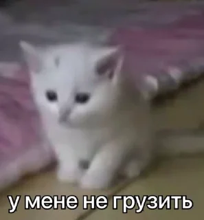 😭 emoji бандерштатський стікерпак Telegram sticker 15 of 120