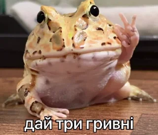 Sticker from бандерштатський стікерпак