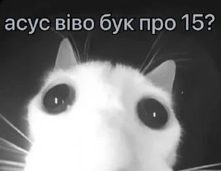😱 emoji бандерштатський стікерпак Telegram sticker 16 of 120