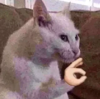 👌 emoji бандерштатський стікерпак Telegram sticker 9 of 120