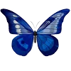 🌟 emoji @emoshko Весна Telegram sticker 19 of 200