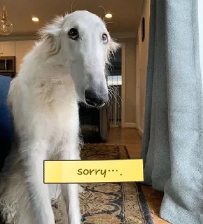 Sticker from borzoi