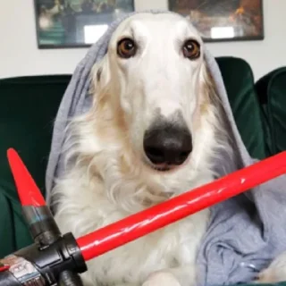 🗡 emoji borzoi Telegram sticker 19 of 25