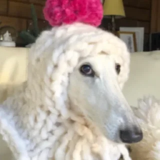 🙁 emoji borzoi Telegram sticker 2 of 25