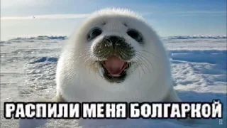 🌟 emoji Инсульт Telegram sticker 1 of 84