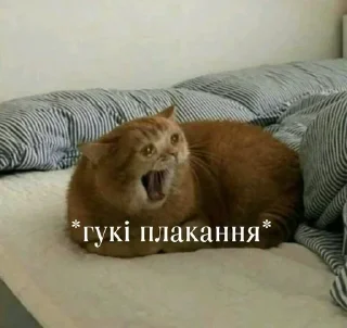 🌟 emoji Инсульт Telegram sticker 7 of 84