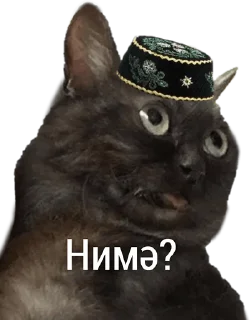 ❔ emoji Татарча стикерлар Telegram sticker 13 of 36