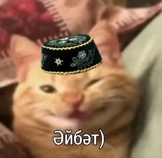 😎 emoji Татарча стикерлар Telegram sticker 16 of 36