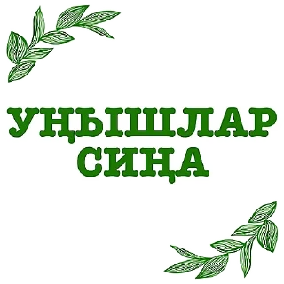 🥳 emoji Татарча аралашу @stikerpak_po_photo дизайн Telegram sticker 22 of 41
