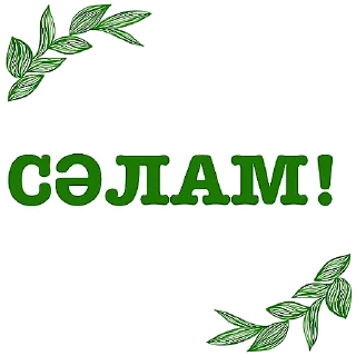 👋 emoji Татарча аралашу @stikerpak_po_photo дизайн Telegram sticker 5 of 41