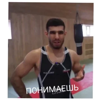 Sticker from GAVRIK_Pop mma