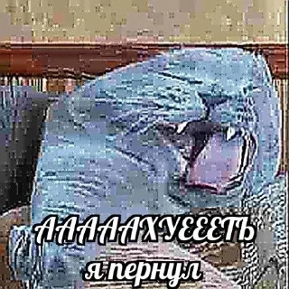 Sticker from кошак