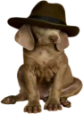 🤠 emoji Dogs @StikerDi Telegram sticker 24 of 40