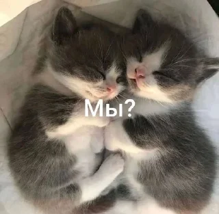 🌟 emoji Восап бро Telegram sticker 7 of 63