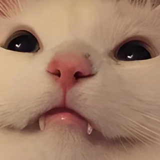 Sticker from UwU