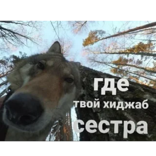 Sticker from ауе